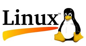 Linux emresupcin 300x161 - Linux zararlı yazılımı, akıllı cihazları hedef alıyor!